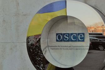ОБСЕ: псевдореферендумы на временно захваченных территориях Украины нелегальны