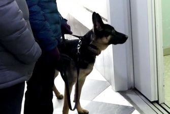 «Собаку лучше водить на поводке»: В Николаеве мужчина избил соседа за замечание по поводу собаки