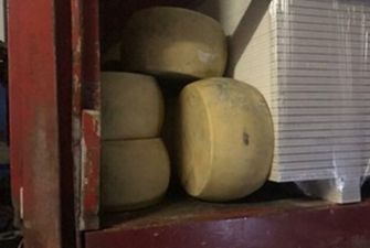 С нарушением санитарных норм: задержана партия контрабандного сыра