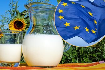 Украинские молочники решили не повторять ошибки зерновиков