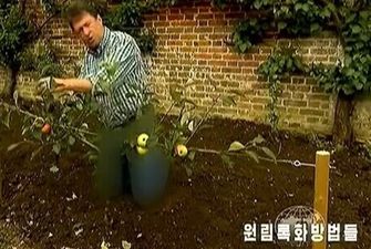 Северокорейское телевидение заблюрило джинсы британского ведущего шоу о садоводстве