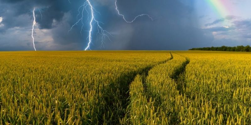 Прогноз погоды на 19 июня: Грозы и ливни с 30-градусной жарой накроют Украину