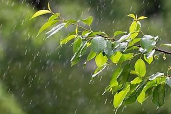 Накроют дожди с грозами: синоптик предупредила об изменении погоды в Украине