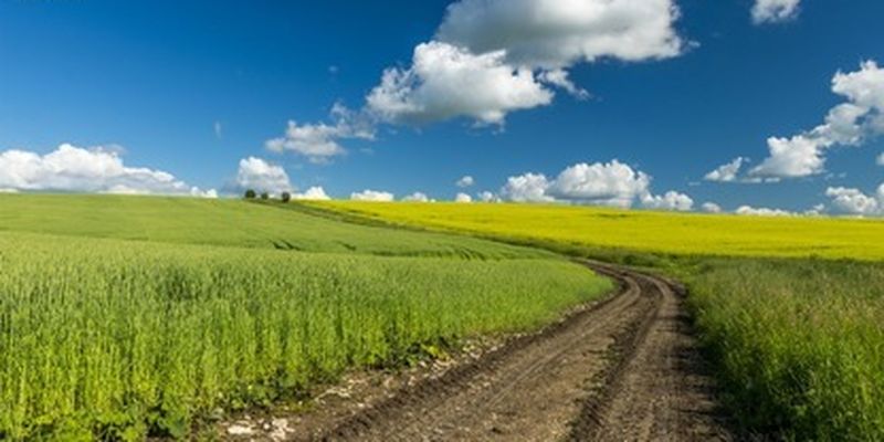 В Украине стремительно растет в цене земля, простые фермеры уже начали бить тревогу