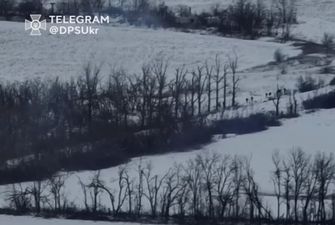 Артиллеристы ВСУ с пограничниками разнесли вражескую пехоту в Луганской области