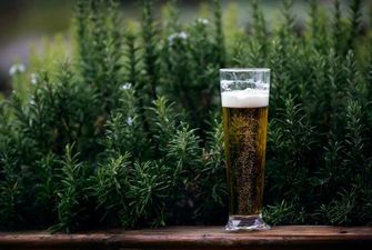 Міжнародний день пива: що за свято, де відзначають та історія напою