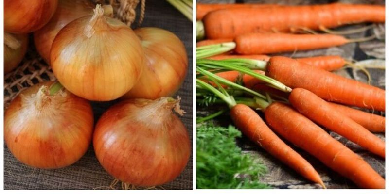 Ціни на цибулю та моркву: як змінилася вартість популярних овочів за рік