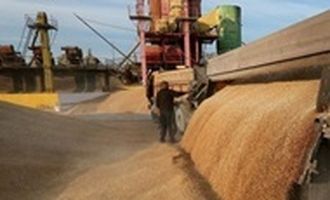 ЕС введет ограничения на зерно из России и Беларуси - СМИ
