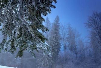 Погода на 26 января: в Украине будет облачно с прояснениями