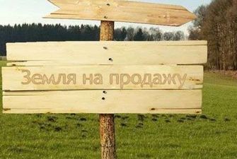 Київрада продала сім ділянок: буде молочна кухня, ветеринарний пункт і багато магазинів
