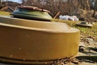 Появилось видео российских растяжек и мин на Житомирщине