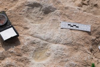 В Саудовской Аравии обнаружили окаменелые следы человека, оставленные 120 тыс. лет назад