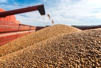 В Украине уже собрали 40,1 миллиона тонн зерновых и зернобобовых