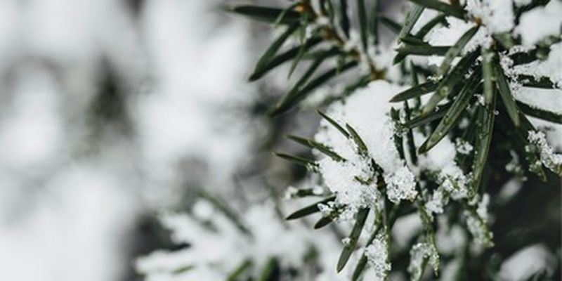 Снегопады будут 9 дней подряд: прогноз погоды в Киеве до середины февраля