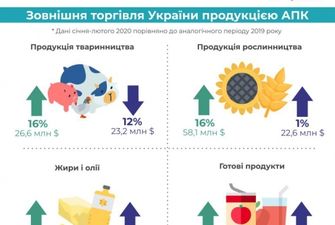 Украина увеличила экспорт агропродукции на 8%