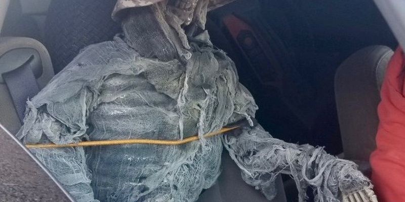 У США водій посадив порус із собою скелет, щоб скористатися смугою для водіїв із пасажирами