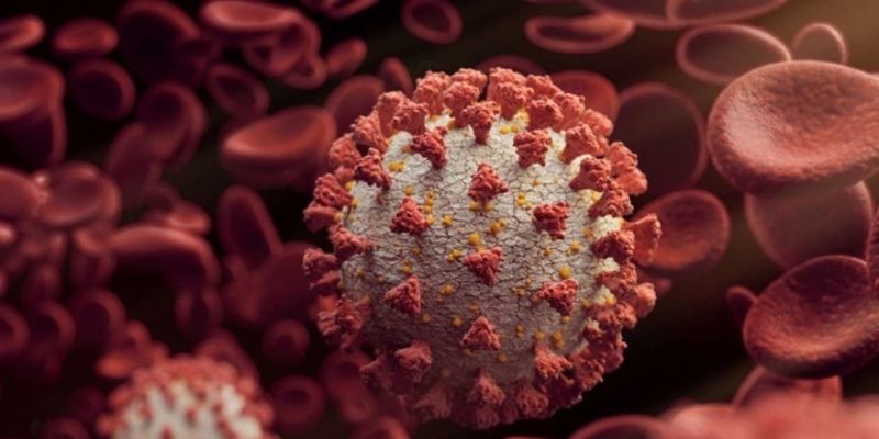 В Африке обнаружили новый более агрессивный штамм коронавируса