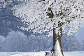 Много снега и лютые морозы до -21: какой будет погода в Украине до середины февраля