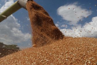 Украина продолжает сокращать экспорт зерна