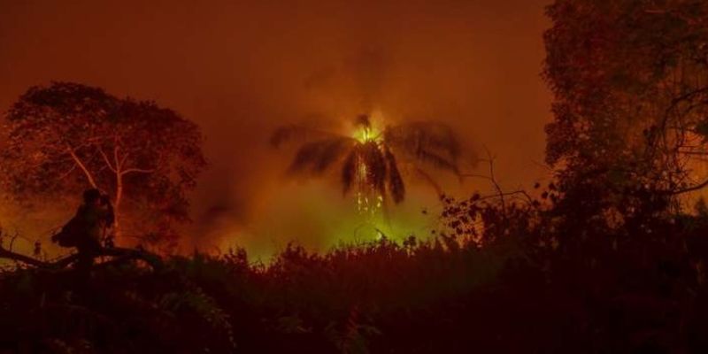 Темпы распространения пожаров в Амазонии побили 13-летний рекорд