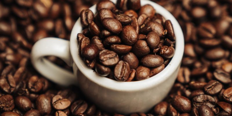8 причин пить кофе каждый день: от каких болезней защищает напиток