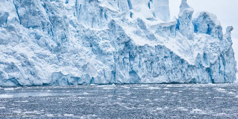 В Антарктиде обнаружили останки огромного монстра