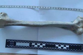Житель Нидерландов нашел на пляже кость человека, которой около 1700 лет