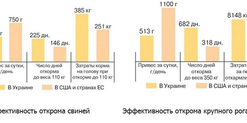В Україні ефективність використання кормів вдвічі нижча за ЄС