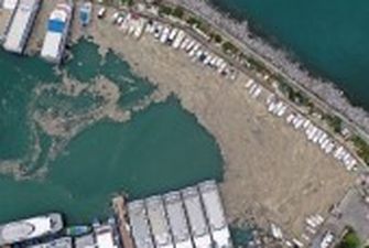 Слиз з водоростей вкрив морське узбережжя у Туреччині і загрожує екології Чорного моря