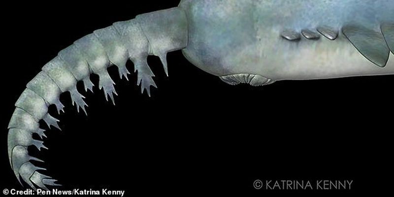 Ученые раскрыли особенности странного чудовища, жившего 500 млн лет назад: фото