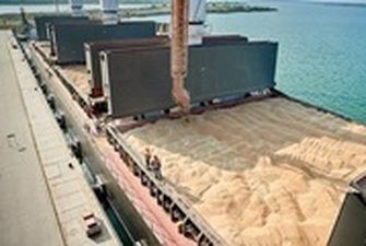 В Польше опровергли слухи о загруженности портов зерном из Украины