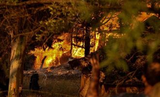 В Греции бушуют пожары: несколько сел эвакуировали
