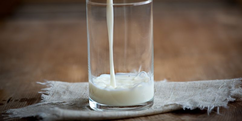 Полтавщина — лідер із виробництва молока в Україні