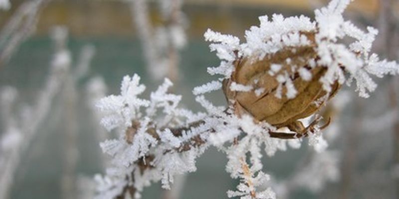 В Украине ударят морозы до минус 23, будет снежить: прогноз погоды на 19 февраля