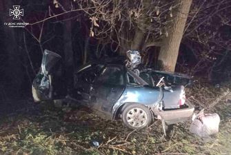 Под Киевом легковушка на скорости влетела в дерево - водитель чудом выжил: фото