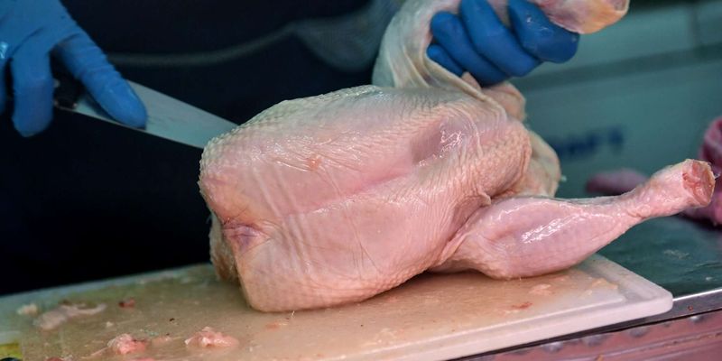 Как очистить курицу от антибиотиков: действенные методы и советы