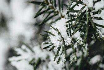 Снегопады будут 9 дней подряд: прогноз погоды в Киеве до середины февраля