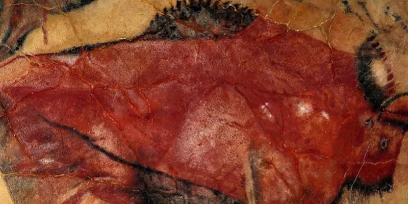 Гипоксия и галлюцинации: исследование ученых "пролило свет" на творчество пещерных художников