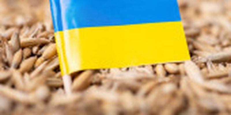 Grain from Ukraine: з порту Одеси вирушило третє судно з агропродукцією
