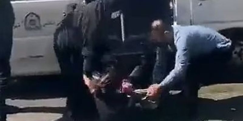 В столице Ирана полиция применила к женщине шест для отлова собак: видео