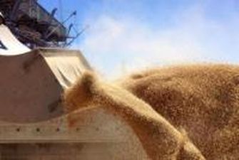 Украина отправила на экспорт уже 1,69 млн тонн зерновых