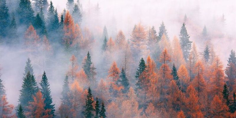 Погода на 19 листопада: холодні тумани затягнуть Україну