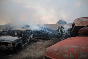 Масштабна лісова пожежа в Луганській області