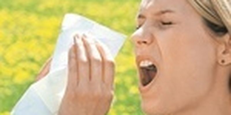 Аллергия на амброзию: как лечить и предотвратить реакцию
