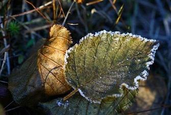 В Україні посилиться похолодання: прогноз погоди на 19 листопада