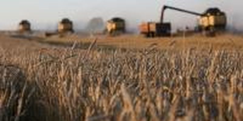 Украинские аграрии уже продали за границу более 44 миллионов тонн зерновых