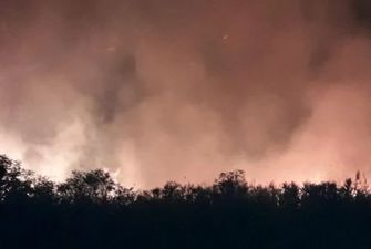 Рятувальники загасили вогонь на Дніпровських плавнях, але пожежа встигла знищити людське майно