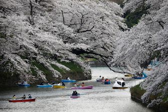 Японія з жовтня відкриє кордони для масового туризму