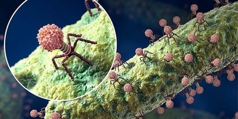 Ученые такого еще не видели: в США обнаружен первый вирус-"вампир"