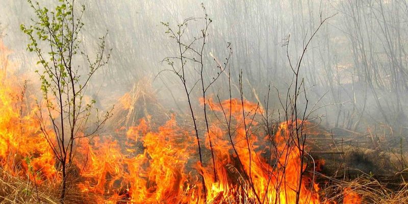 На большинстве территории Украины будет преобладать чрезвычайная пожарная опасность пятого класса - ГСЧС